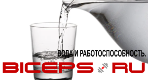 ПОЧЕМУ ВОДА ЯВЛЯЕТСЯ УСИЛИТЕЛЕМ РАБОТОСПОСОБНОСТИ.
