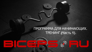 ПРОГРАММА ДЛЯ НАЧИНАЮЩИХ. ТРЕНИНГ (Часть 1).