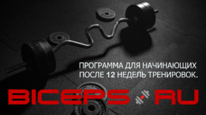 СОВЕТЫ НАЧИНАЮЩИМ (ТРЕНИНГ, ПИТАНИЕ, ДОБАВКИ) .Часть 2.