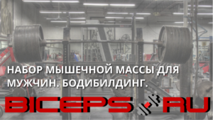 НАБОР МЫШЕЧНОЙ МАССЫ ДЛЯ МУЖЧИН. БОДИБИЛДИНГ.