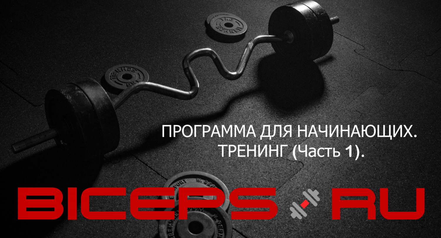 dumbbell_1_85_Программа начало 1