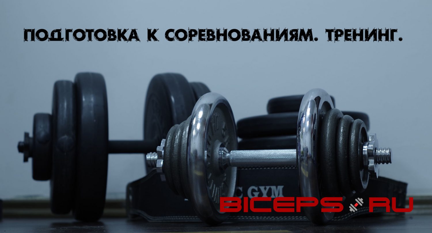 сеТренировка1